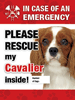 Emergency - Cavalier thumbnail