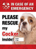 Emergency - Cocker Spaniel thumbnail