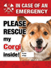Emergency - Corgi thumbnail