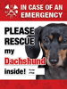 Emergency - Dachshund (black) thumbnail