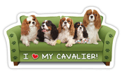 Cavalier Couch Pawtato thumbnail