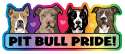 Pit Bull Pride! thumbnail