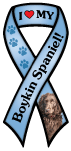 Boykin Spaniel thumbnail