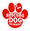 Rescued Dog on board! thumbnail