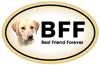 BFF - Lab (yellow) Oval Magnet thumbnail