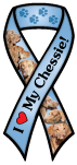 Chessie thumbnail