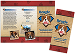 Beagle Rescue thumbnail