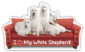 White Shepherd Couch Pawtato thumbnail