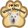 German Shepherd-White thumbnail