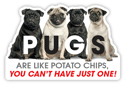Pugs are like Potato Chips... thumbnail