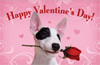 Happy Valentine's Day! thumbnail