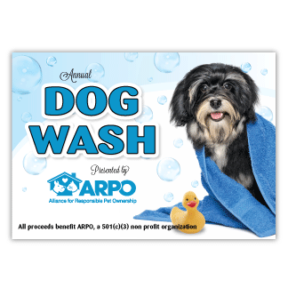Dog in Blue Towel thumbnail