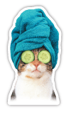 Cat (teal towel) thumbnail