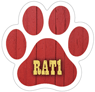 Barn Hunt - RAT1 thumbnail
