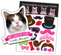 Calico Cat thumbnail