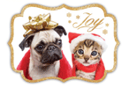 Fancy Border (festive Pug & Kitten) thumbnail