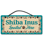 Shiba Inus thumbnail