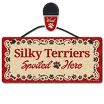 Silky Terriers thumbnail