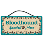 Bloodhounds thumbnail