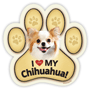 Chihuahua (longhair) thumbnail
