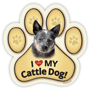 Cattle Dog thumbnail