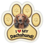 Dachshund (longhair) thumbnail