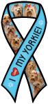 Yorkie (blue) thumbnail