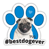 Pug #bestdogever thumbnail