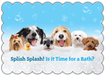 Dogs in Bath (scalloped border) thumbnail