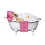 Spa Dog in Tub (pink) thumbnail